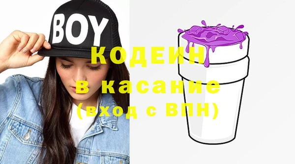 индика Семёнов