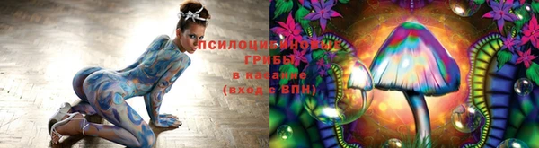 спайс Алексеевка