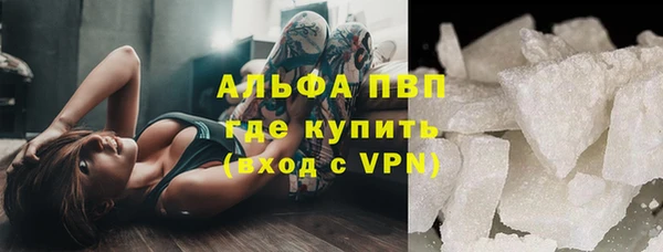 стафф Алексин
