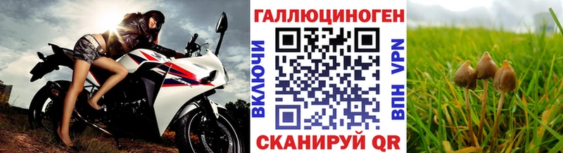 купить наркотик  Венёв  Галлюциногенные грибы MAGIC MUSHROOMS 