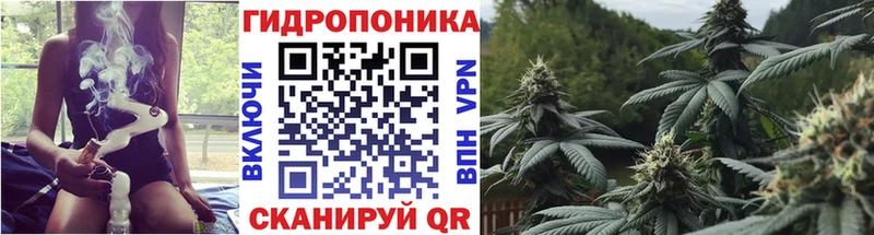 продажа наркотиков  кракен tor  МАРИХУАНА SATIVA & INDICA  Венёв 